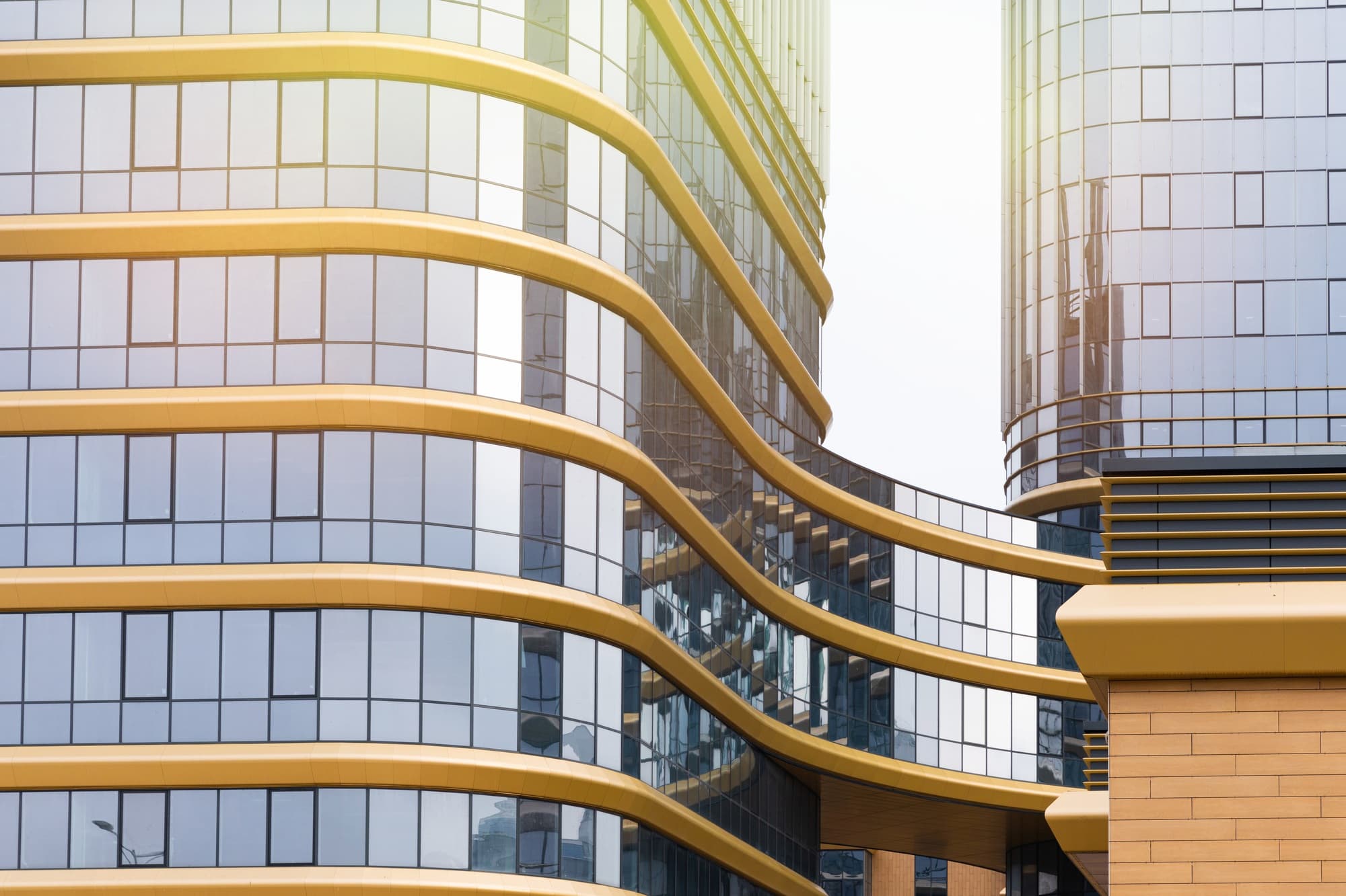 Professional Legal Office